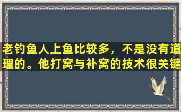 老钓鱼人上鱼比较多，不是没有道理的。他打窝与补窝的技术很关键