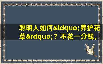聪明人如何“养护花草”？不花一分钱，用“废品”代替，美绝了！