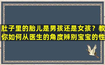 肚子里的胎儿是男孩还是女孩？教你如何从医生的角度辨别宝宝的性别
