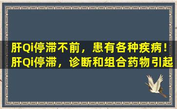 肝Qi停滞不前，患有各种疾病！肝Qi停滞，诊断和组合药物引起的四种疾病