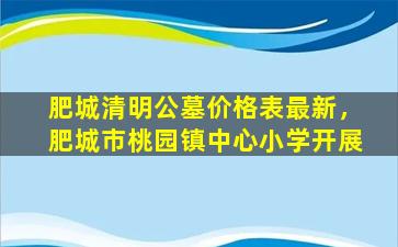 肥城清明公墓价格表最新，肥城市桃园镇中心小学开展
