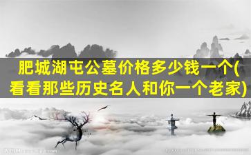 肥城湖屯公墓价格多少钱一个(看看那些历史名人和你一个老家)