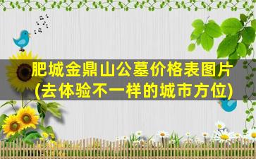 肥城金鼎山公墓价格表图片(去体验不一样的城市方位)