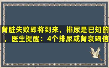 肾脏失败即将到来，排尿是已知的，医生提醒：4个排尿或肾衰竭信号的表现