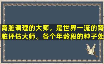 肾脏调理的大师，是世界一流的肾脏评估大师。各个年龄段的种子处方处处方，滋养了肾脏的精髓，并补充了阴和阳