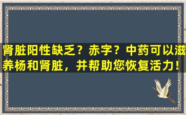 肾脏阳性缺乏？赤字？中药可以滋养杨和肾脏，并帮助您恢复活力！