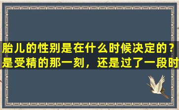 胎儿的性别是在什么时候决定的？是受精的那一刻，还是过了一段时间？