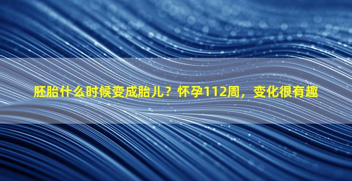 胚胎什么时候变成胎儿？怀孕112周，变化很有趣