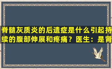 脊髓灰质炎的后遗症是什么引起持续的腹部伸展和疼痛？医生：是肾结石