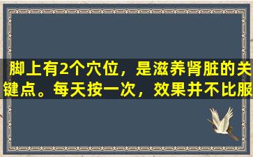 脚上有2个穴位，是滋养肾脏的关键点。每天按一次，效果并不比服用补品差。