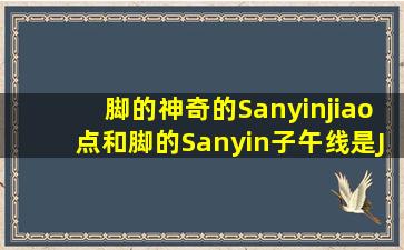 脚的神奇的Sanyinjiao点和脚的Sanyin子午线是Jiaohui点。传统中药说，它可以维持健康并滋养皮肤。这是真的吗？