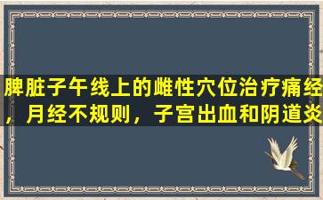 脾脏子午线上的雌性穴位治疗痛经，月经不规则，子宫出血和阴道炎