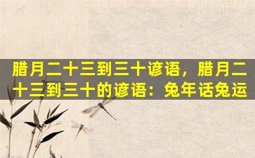 腊月二十三到三十谚语，腊月二十三到三十的谚语：兔年话兔运