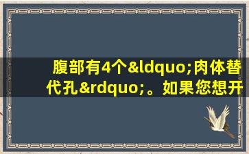 腹部有4个“肉体替代孔”。如果您想开发纤细的腰部，您会知道如果尝试它是有效的！