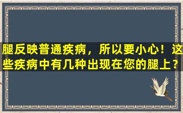 腿反映普通疾病，所以要小心！这些疾病中有几种出现在您的腿上？