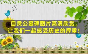 自贡公墓碑图片高清欣赏，让我们一起感受历史的厚重！