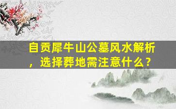 自贡犀牛山公墓风水解析，选择葬地需注意什么？