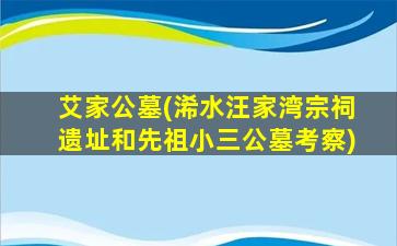 艾家公墓(浠水汪家湾宗祠遗址和先祖小三公墓考察)