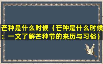 芒种是什么时候（芒种是什么时候：一文了解芒种节的来历与习俗）
