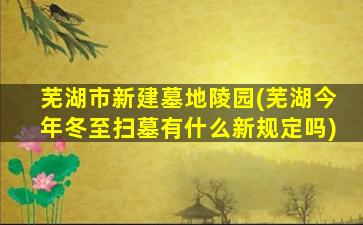 芜湖市新建墓地陵园(芜湖今年冬至扫墓有什么新规定吗)