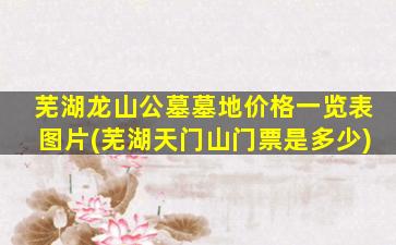 芜湖龙山公墓墓地价格一览表图片(芜湖天门山门票是多少)
