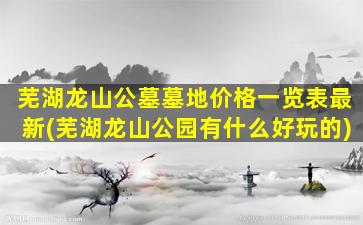 芜湖龙山公墓墓地价格一览表最新(芜湖龙山公园有什么好玩的)