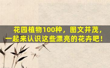 花园植物100种，图文并茂，一起来认识这些漂亮的花卉吧！