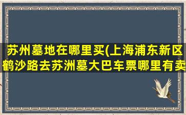 苏州墓地在哪里买(上海浦东新区鹤沙路去苏洲墓大巴车票哪里有卖)