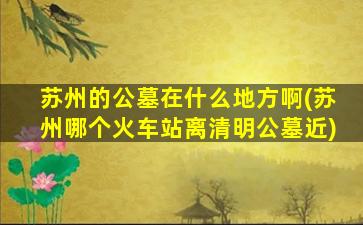 苏州的公墓在什么地方啊(苏州哪个火车站离清明公墓近)