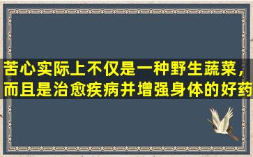 苦心实际上不仅是一种野生蔬菜，而且是治愈疾病并增强身体的好药物。