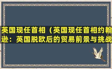 英国现任首相（英国现任首相约翰逊：英国脱欧后的贸易前景与挑战）