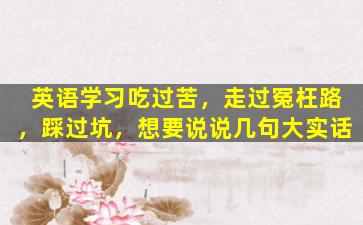 英语学习吃过苦，走过冤枉路，踩过坑，想要说说几句大实话