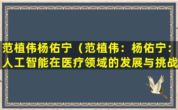 范植伟杨佑宁（范植伟：杨佑宁：人工智能在医疗领域的发展与挑战）