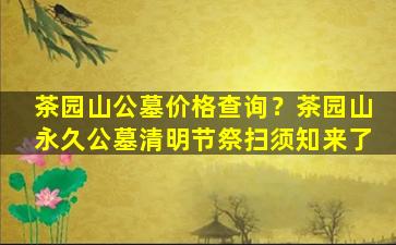 茶园山公墓价格查询？茶园山永久公墓清明节祭扫须知来了