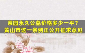 茶园永久公墓价格多少一平？黄山市这一条例正公开征求意见