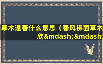 草木逢春什么意思（春风拂面草木欣——草木逢春什么意思）