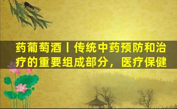 药葡萄酒丨传统中药预防和治疗的重要组成部分，医疗保健