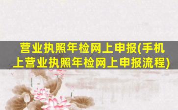 营业执照年检网上申报(手机上营业执照年检网上申报流程)