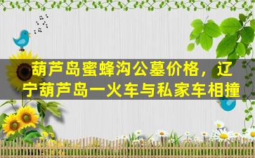 葫芦岛蜜蜂沟公墓价格，辽宁葫芦岛一火车与私家车相撞