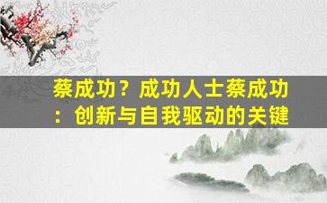 蔡成功？成功人士蔡成功：创新与自我驱动的关键