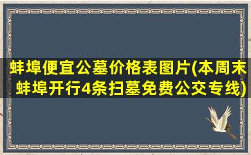 蚌埠便宜公墓价格表图片(本周末蚌埠开行4条扫墓免费公交专线)