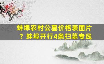蚌埠农村公墓价格表图片？蚌埠开行4条扫墓专线