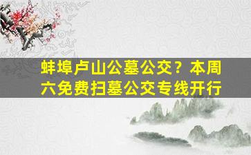 蚌埠卢山公墓公交？本周六免费扫墓公交专线开行