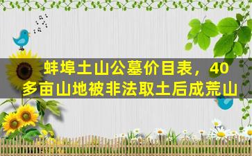 蚌埠土山公墓价目表，40多亩山地被非法取土后成荒山