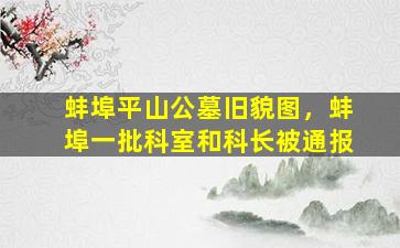 蚌埠平山公墓旧貌图，蚌埠一批科室和科长被通报