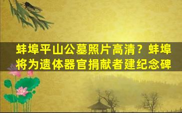 蚌埠平山公墓照片高清？蚌埠将为遗体器官捐献者建纪念碑