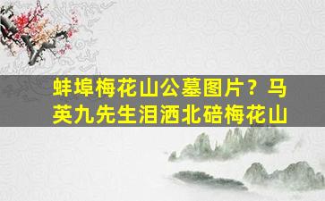 蚌埠梅花山公墓图片？马英九先生泪洒北碚梅花山