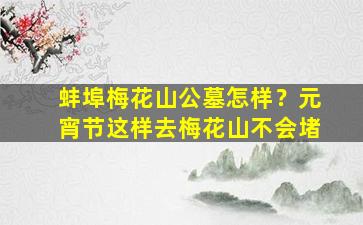 蚌埠梅花山公墓怎样？元宵节这样去梅花山不会堵
