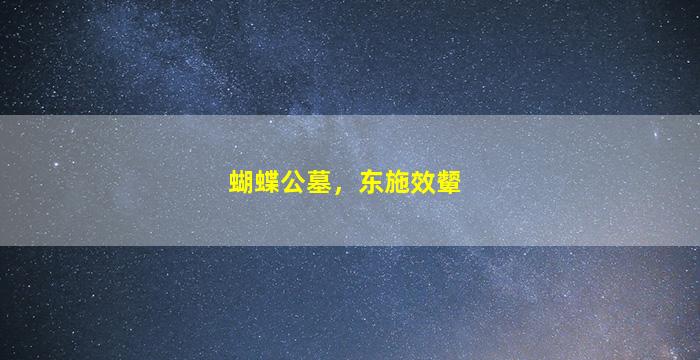 蝴蝶公墓，东施效颦