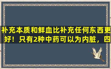 补充本质和鲜血比补充任何东西更好！只有2种中药可以为内脏，四肢和骨骼补充本质和血液
